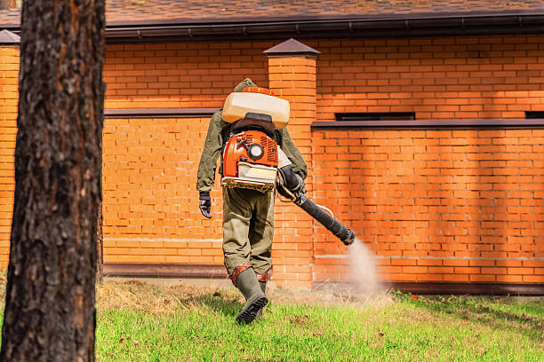 Trusted Rodent Control service in Rutledge, TN - Nex Pest Control